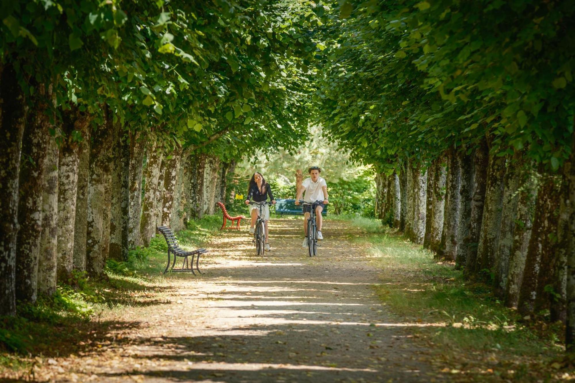 Château de Rochecotte Saint-Patrice Eksteriør billede